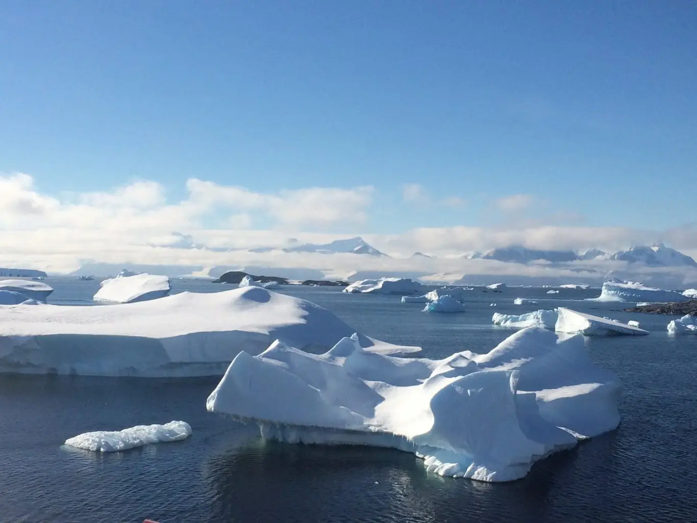 Looking into ice: understanding Antarctica’s glaciers