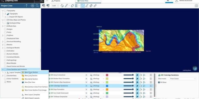 Add Plan View and Master Layout to Sections in Leapfrog 2022.1