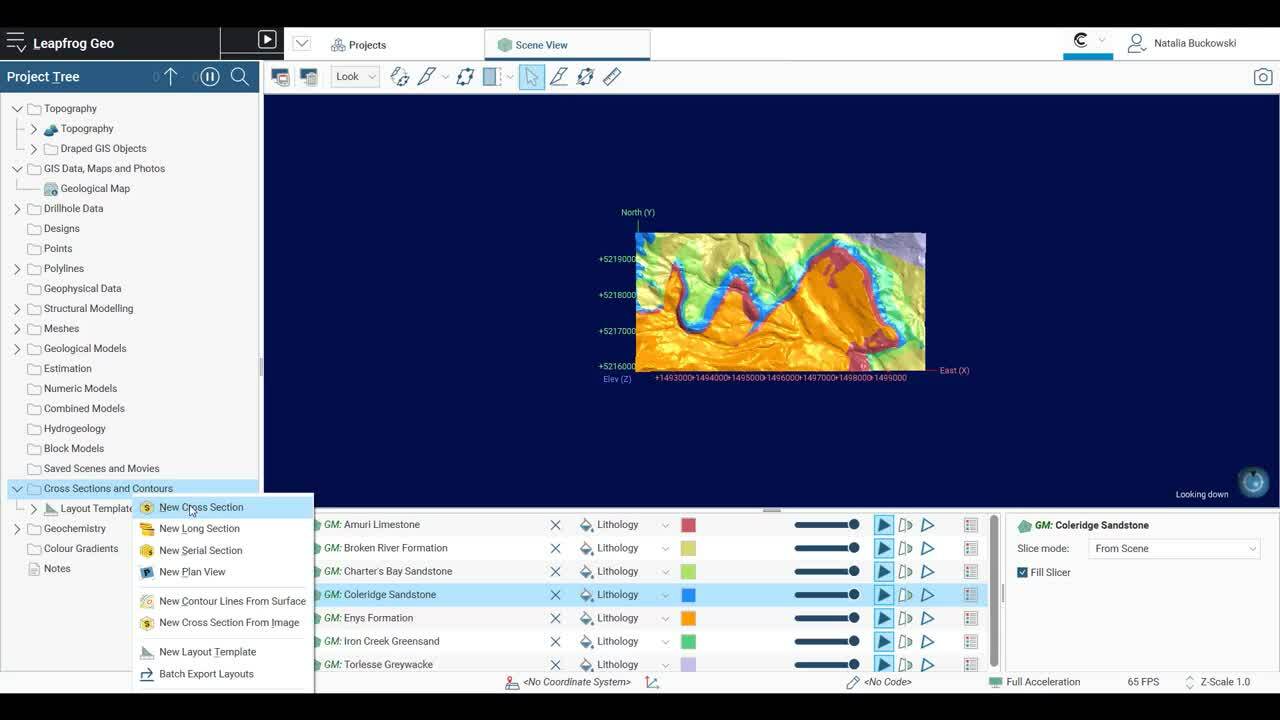 Add Plan View and Master Layout to Sections in Leapfrog 2022.1