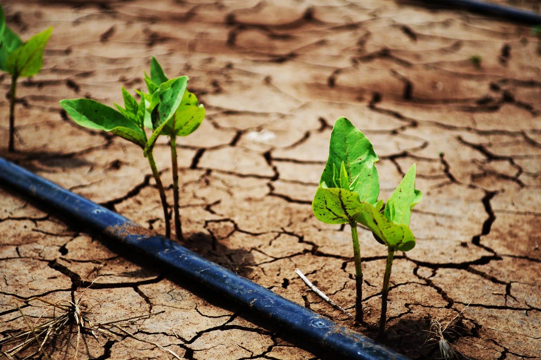 Our climate change endgame: A more secure, sustainable and resilient future