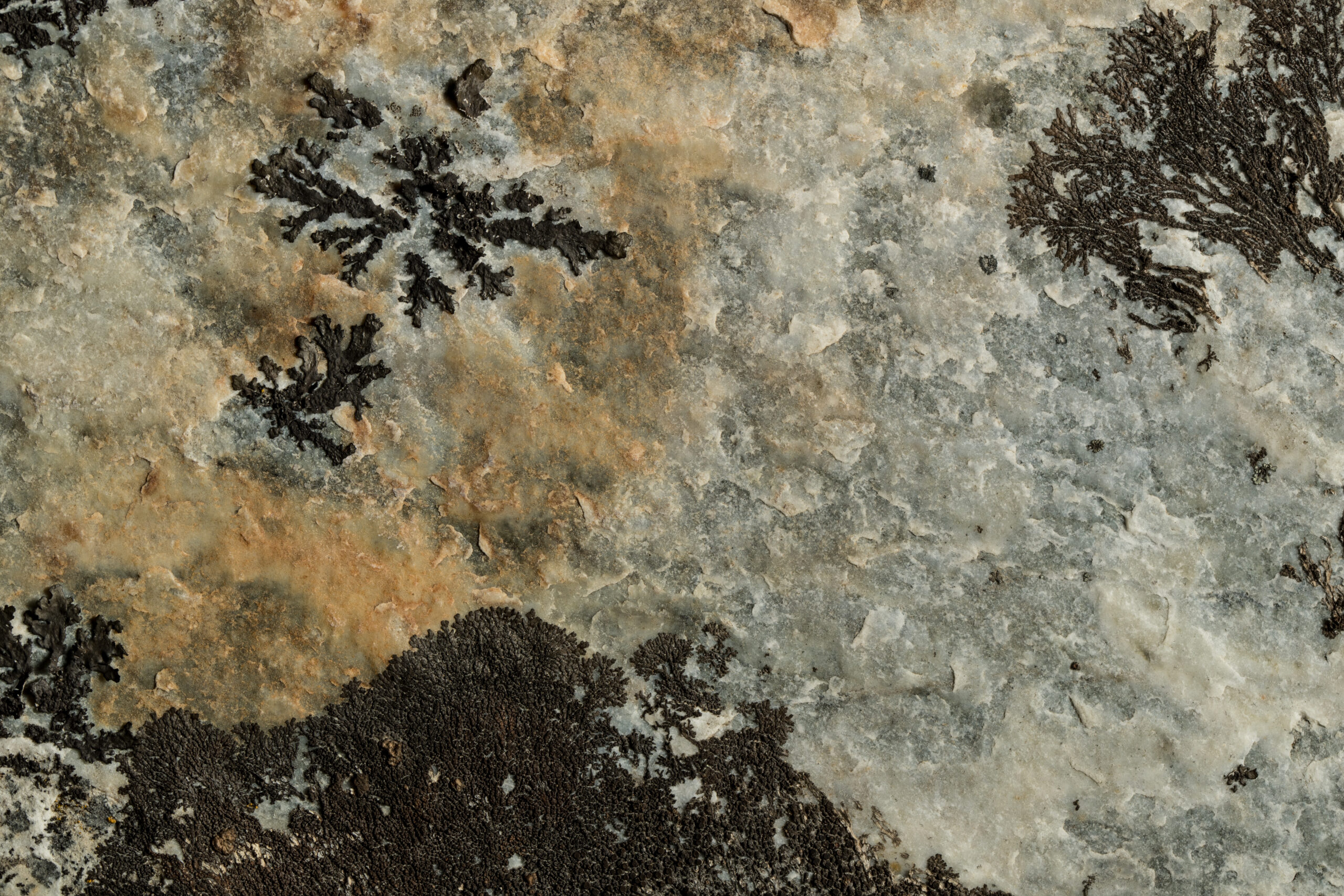 Faster geological modelling powers smarter decisions at Rana Gruber