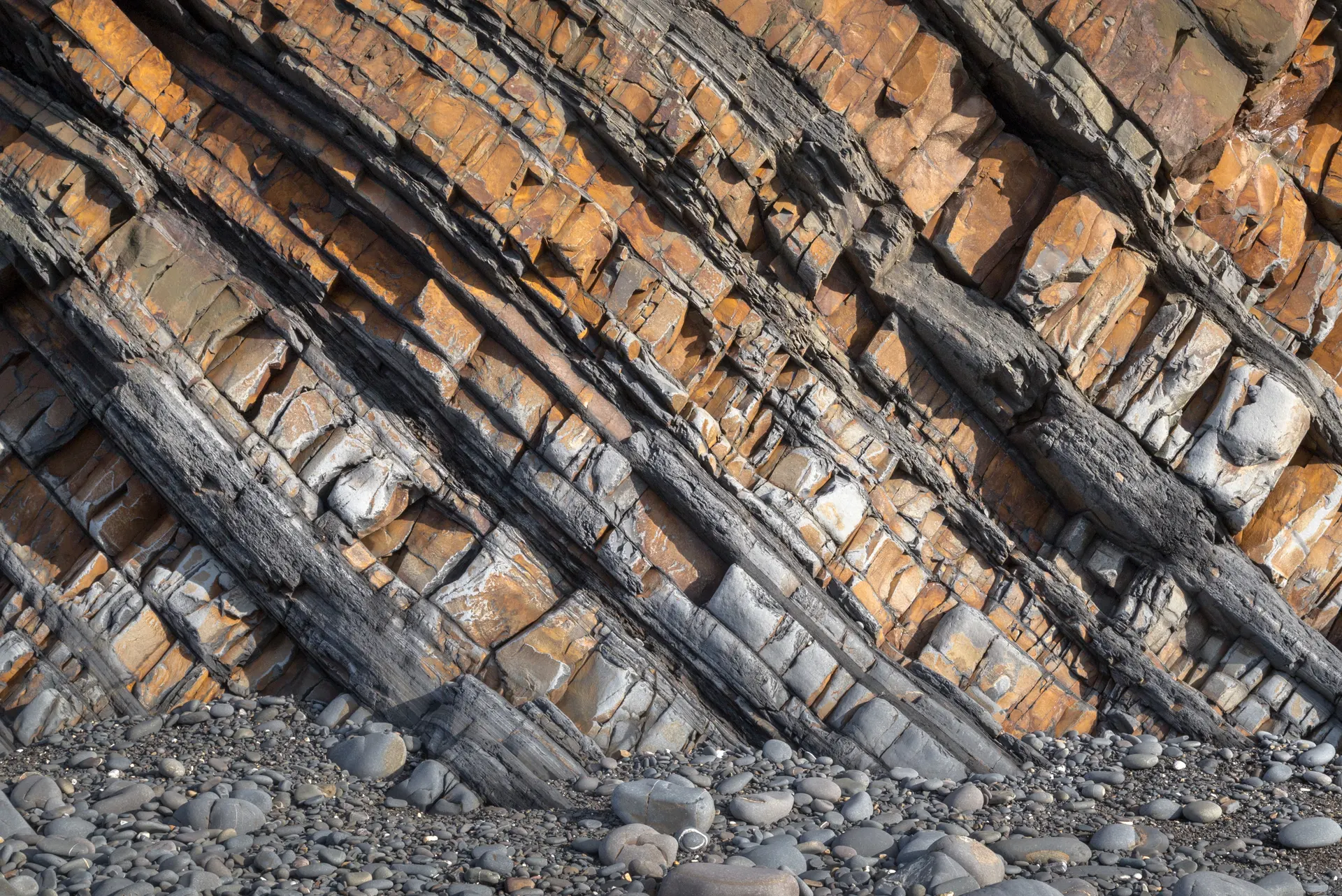 FrogBlog: важность перспективы