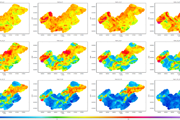 Screenshot of geophysical depth slices in AGS Workbench 6.8