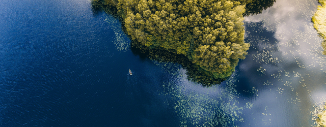 Webinar | Como desenvolver projetos de licenciamento ambiental com o Leapfrog Works