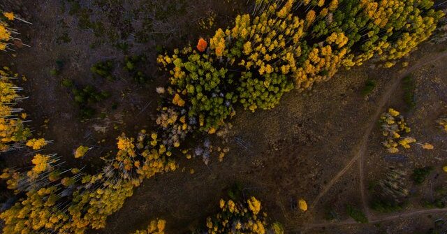 Geoambiente: High-resolution modelling for groundwater remediation using Leapfrog