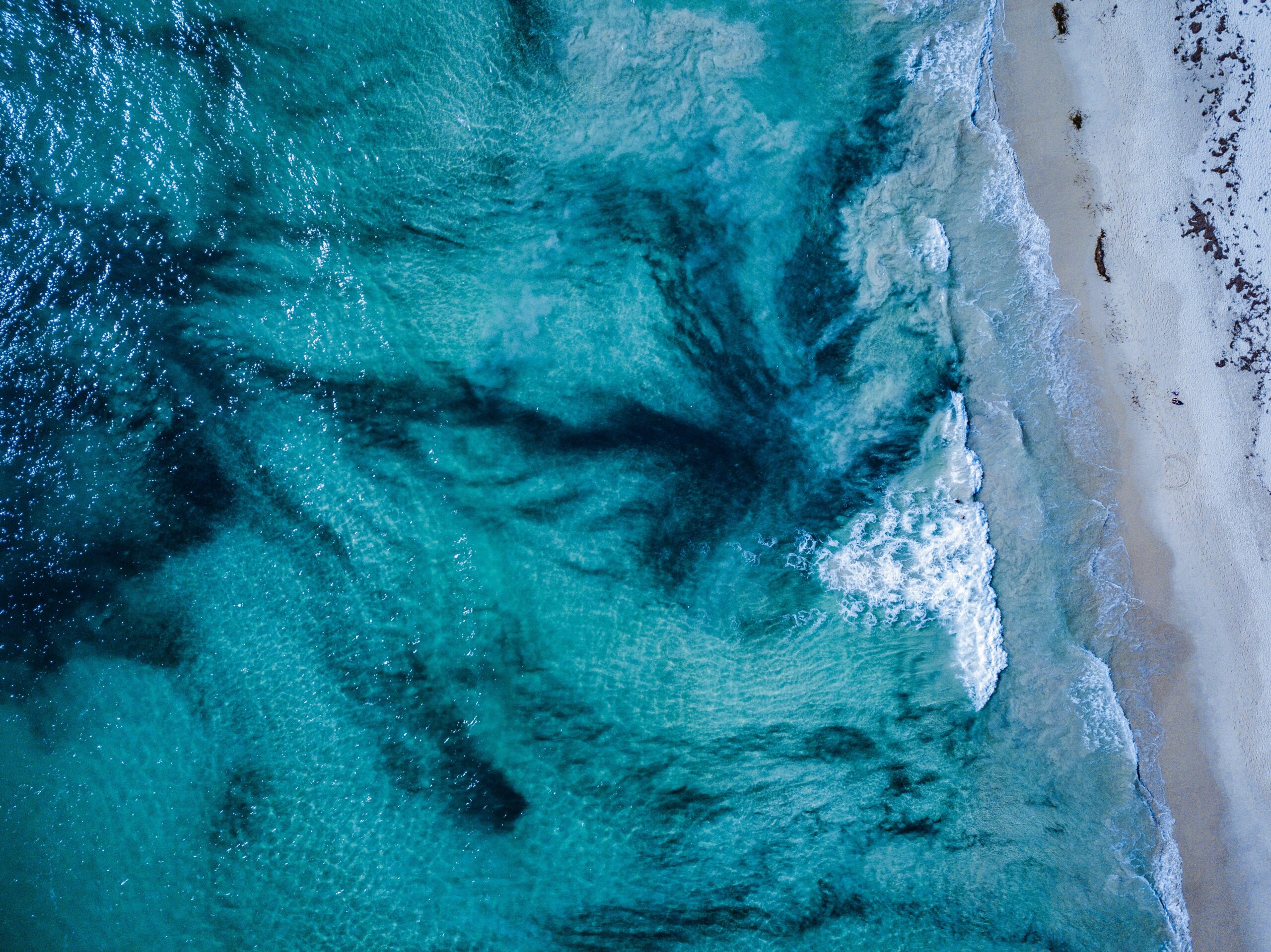 Environmental trends to expect in 2026