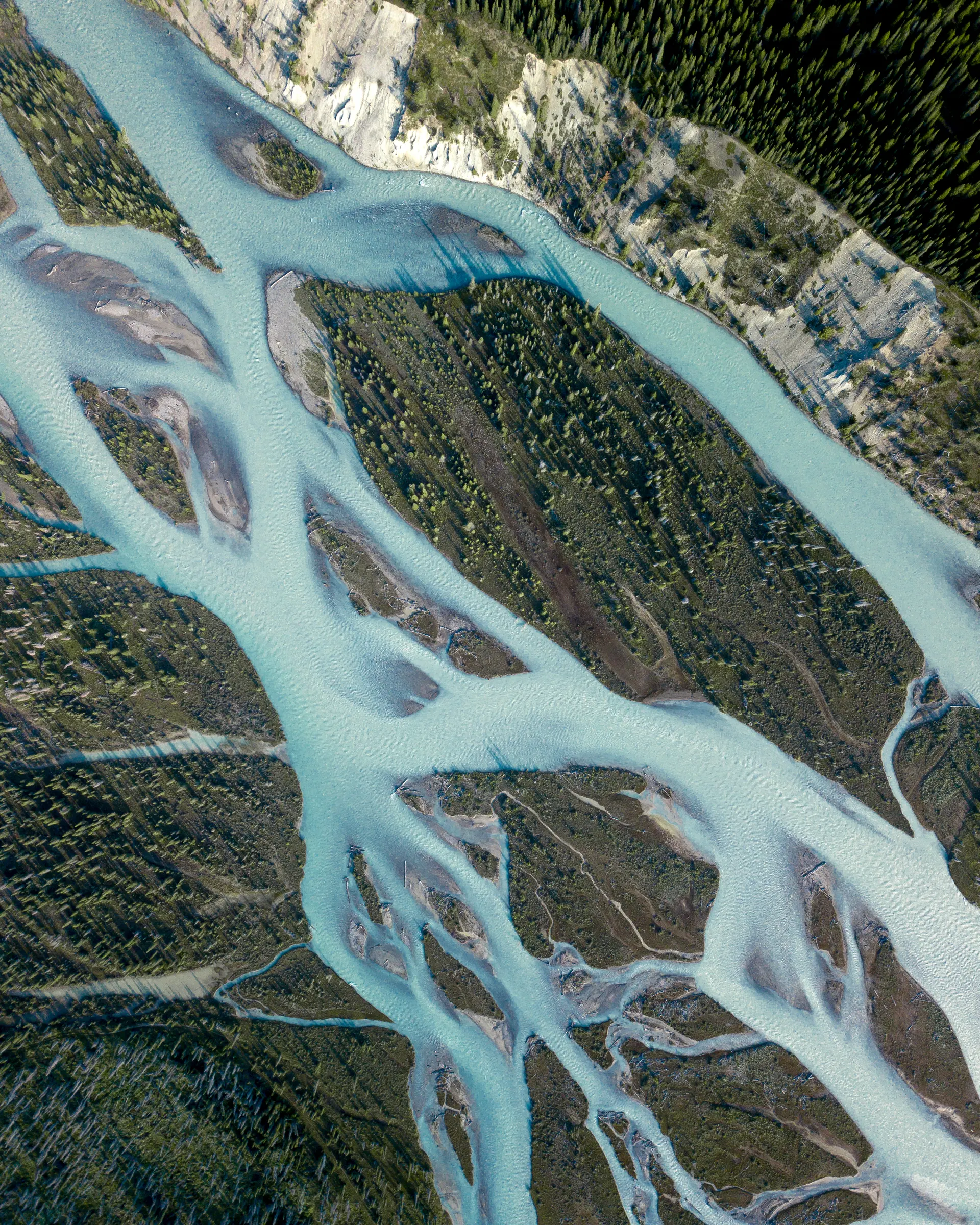 Видео: целостный подход имеет критическое значение для решения экологических проблем