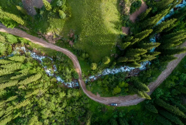 Pine forest from above, spring season, forest road and river. Shutterstock 1172089639