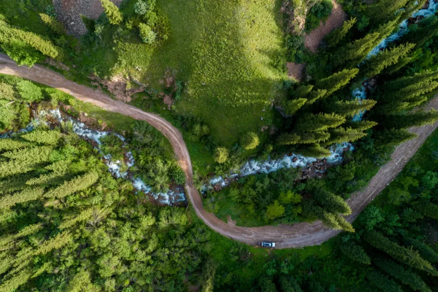 Pine forest from above, spring season, forest road and river. Shutterstock 1172089639