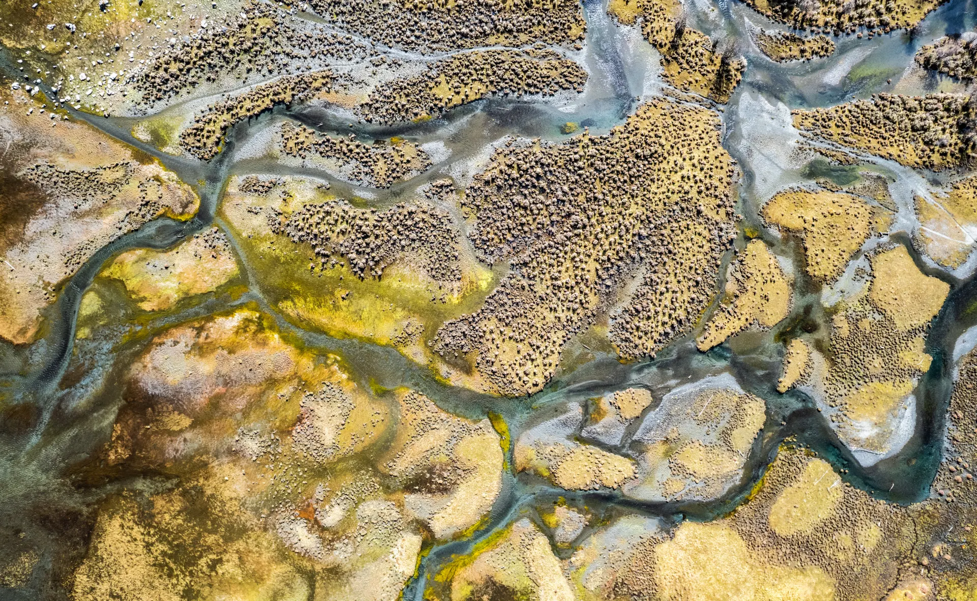 Un hackatón pone de relieve un futuro inteligente para los estudiantes de geociencias