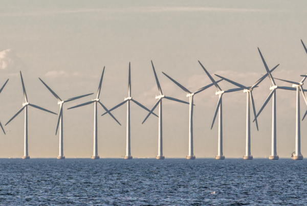 A photograph of wind turbines in the ocean