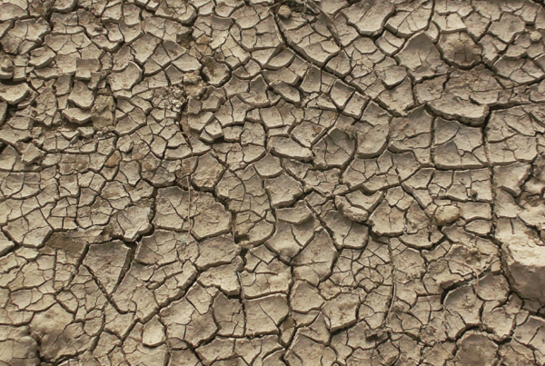 Groundwater cracked earth