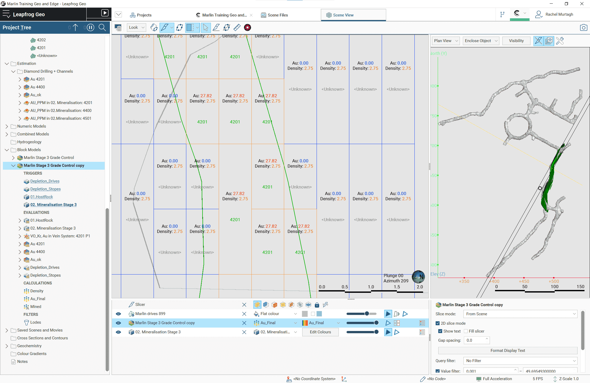 Visualización de etiquetas de modelos de bloques en 2D en Leapfrog 2022.1