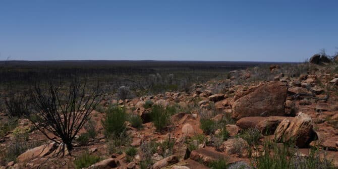 A photo of rocky, red landscape of the Fraser Range, southeast of Kalgoorlie in Western Australia.