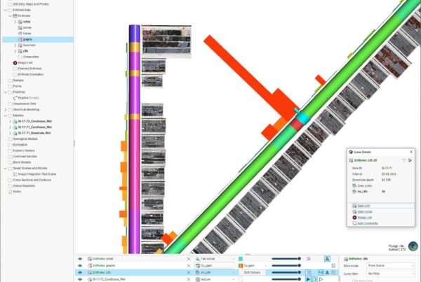 A screenshot of Imago core imagery in Leapfrog