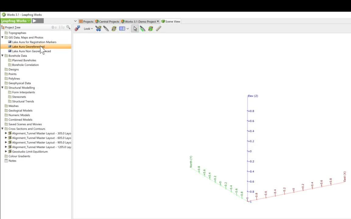 Introduction to Leapfrog Works 3.1