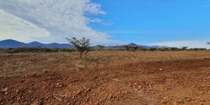 A photo of a Kenyan landscape with reddish earth in the foreground, a range of hills on the horizon, with blue sky and white clouds above.