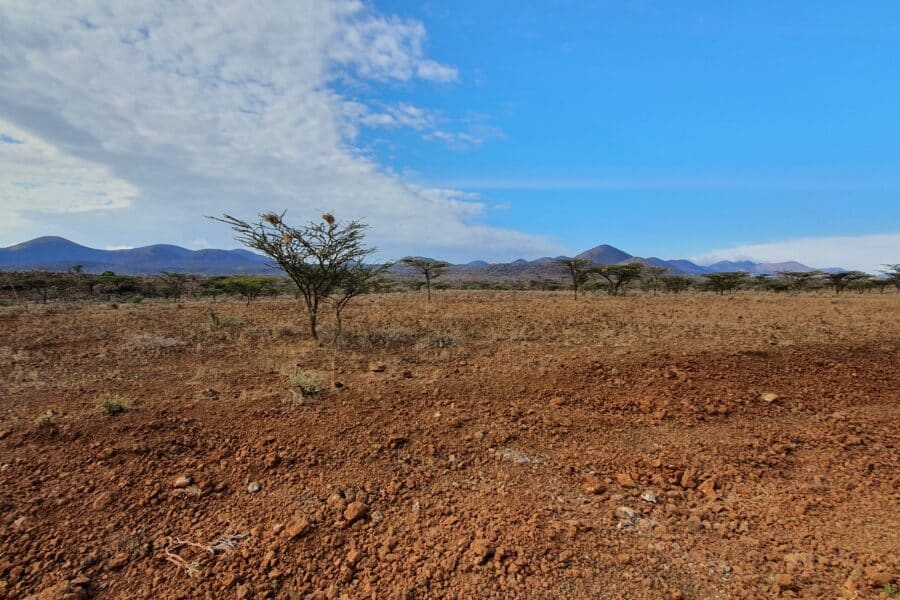 A photo of a Kenyan landscape with reddish earth in the foreground, a range of hills on the horizon, with blue sky and white clouds above.