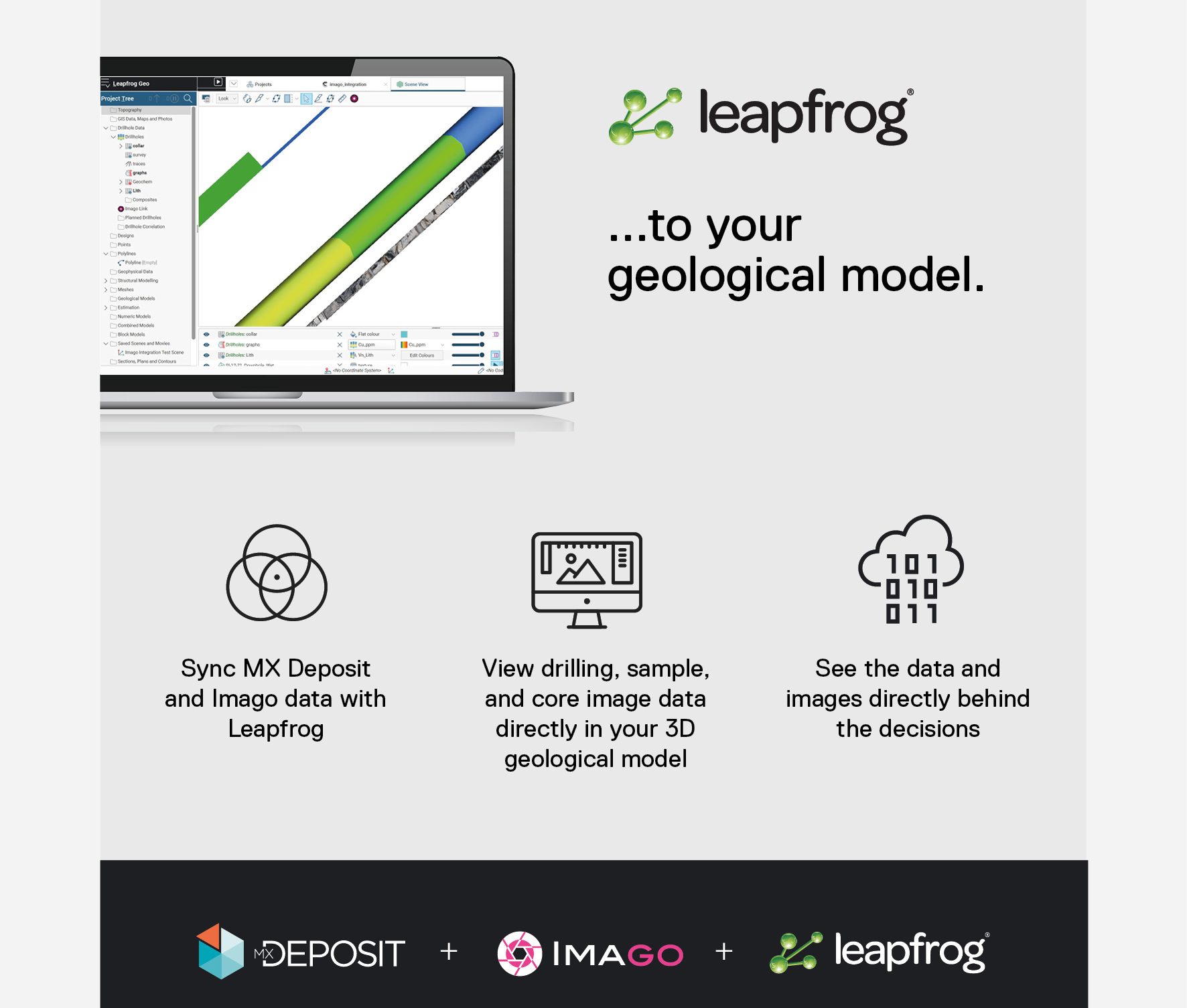 Infographic showing how drilling and core image data can display in Leapfrog models
