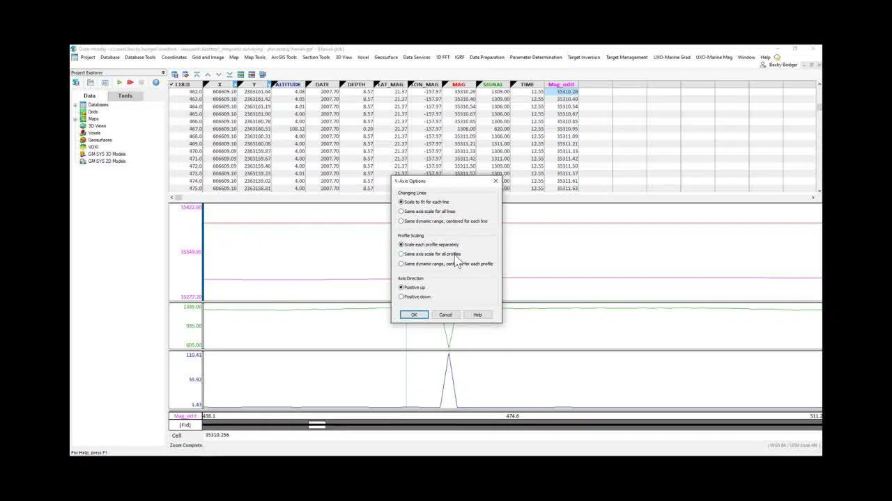 Magnetic Surveying for anthropogenic objects: Data Processing