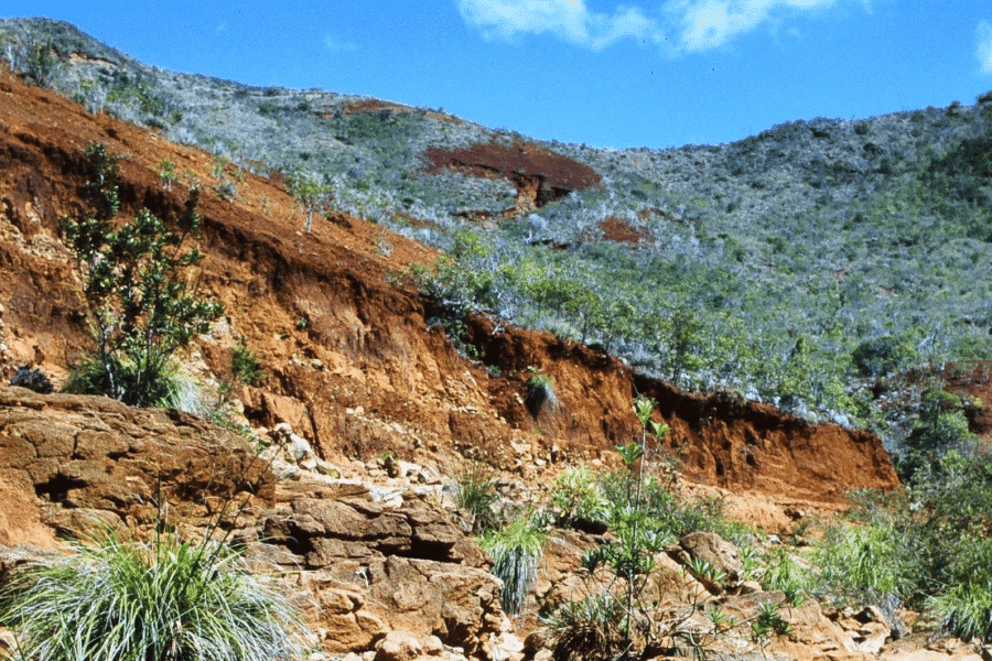 Nickel Mining in Indonesia landscape image.