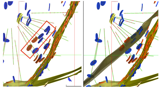 The figure on the left shows where Driver ellipsoids have highlighted an unmodelled mineralised structural trend in the drillhole data set. The figure on the right shows the splay wireframed after identifying with Driver ellipsoids. Source: OceanaGold