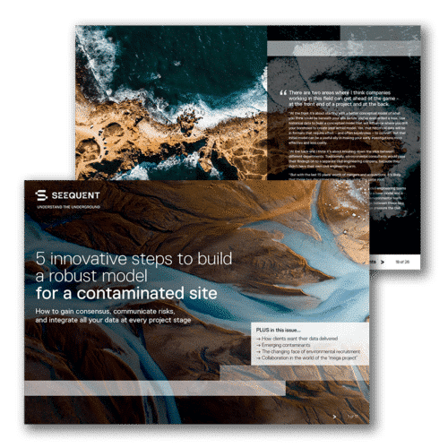 eBooks: 5 Innovative Steps to Build a Robust Model for a Contaminated Site