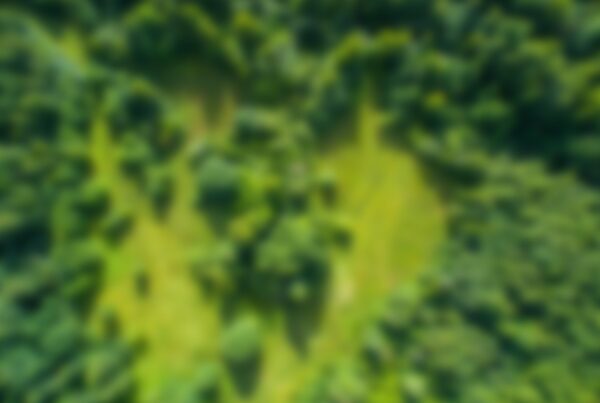 An arial photo of a grass clearing in a forest