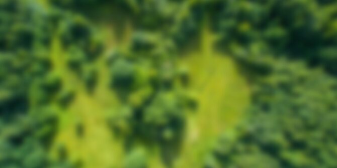 An arial photo of a grass clearing in a forest