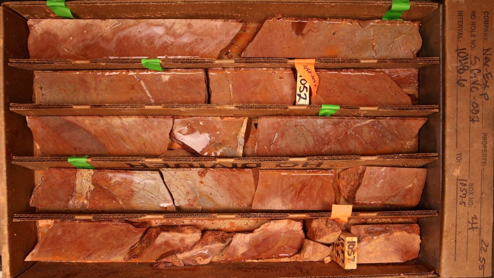 A picture of core samples from MX Deposit 