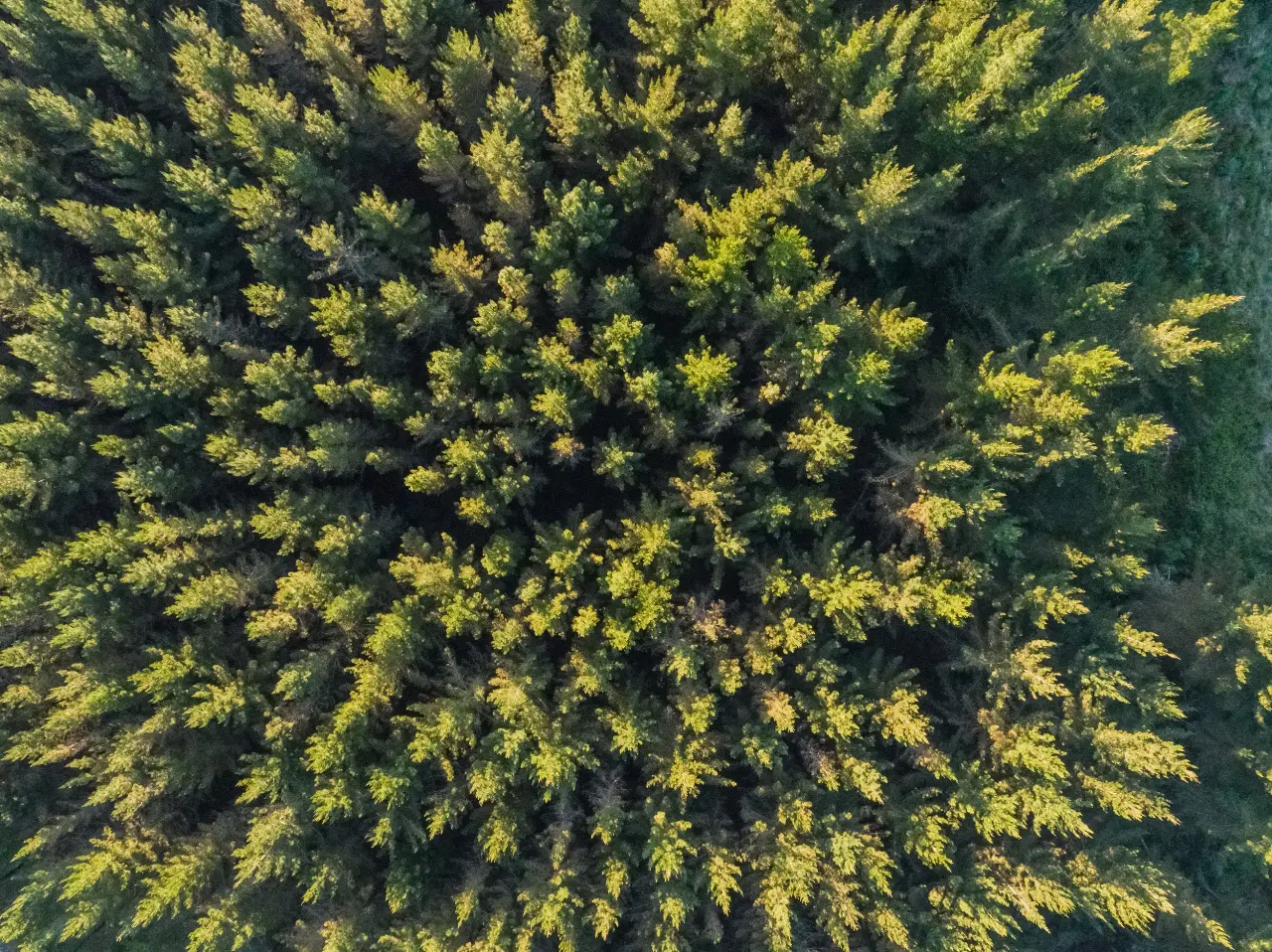 Safe Nuclear Waste Disposal Leapfrog Geo