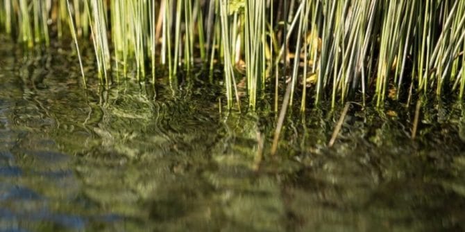 Using 3d insights to make better decisions for Italy's wetlands