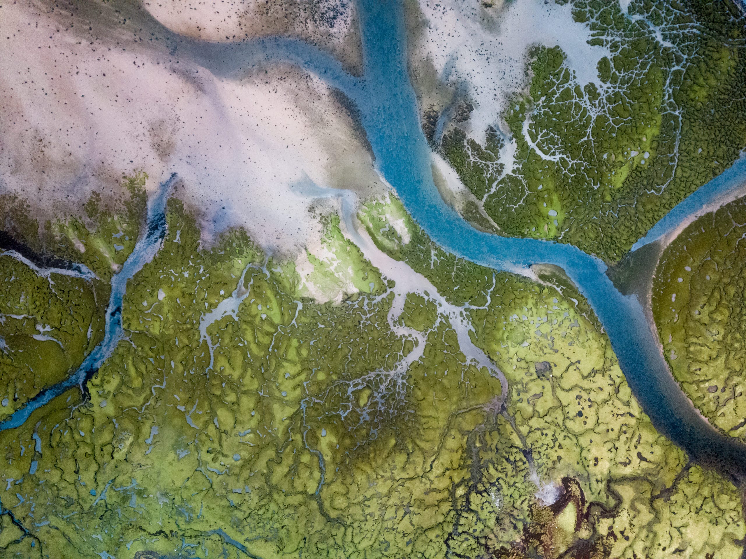A visual guide to assess the global impact of environmental contamination on society