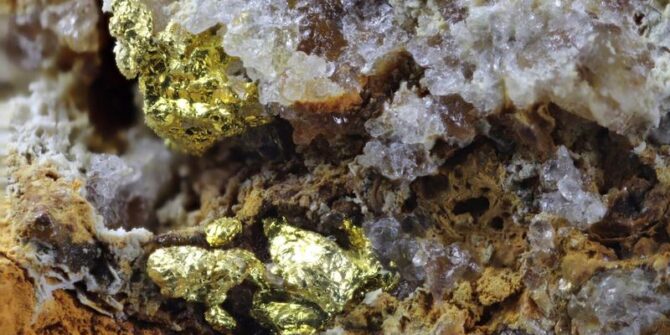 A close up image showing different mineralisations