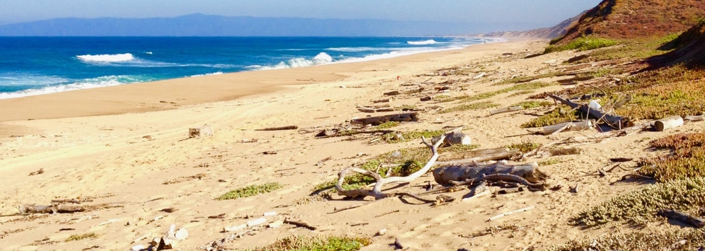 Water Security and Saltwater Intrusion