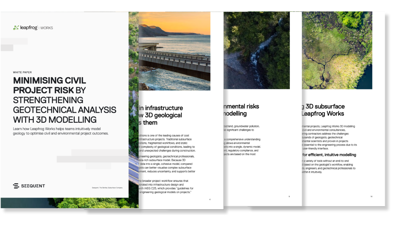 LeapfrogWorks_whitepaper.oreview