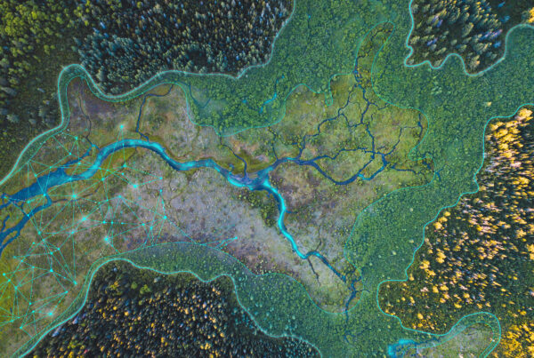 Aerial, birds-eye view river
