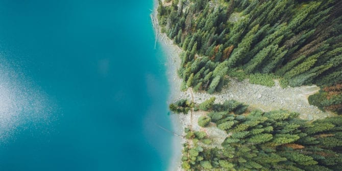 Image of water, trees and a beach