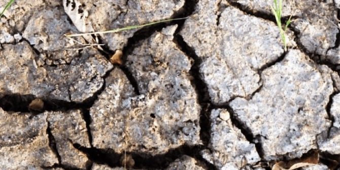 How the Australian mining industry is protecting ancient underground organisms