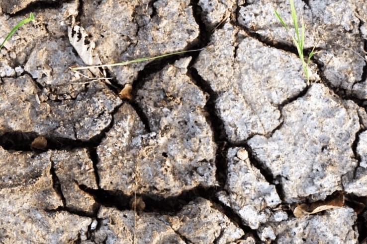 How the Australian mining industry is protecting ancient underground organisms