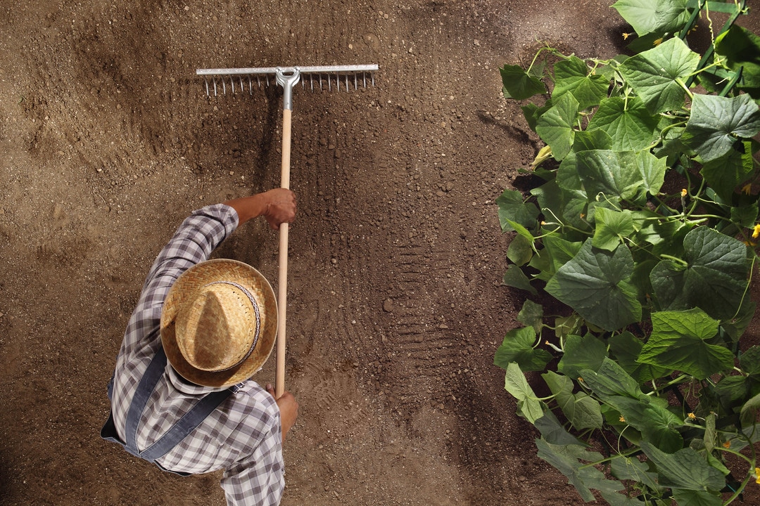 The Future of Farming: Using Soil Geoscience Data in Agriculture