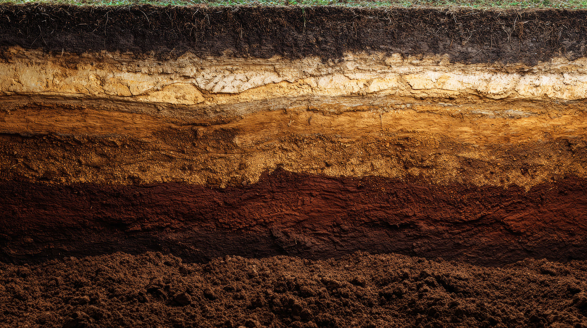 Visible Geology: 200,000 users and bridging the gap between geology and engineering