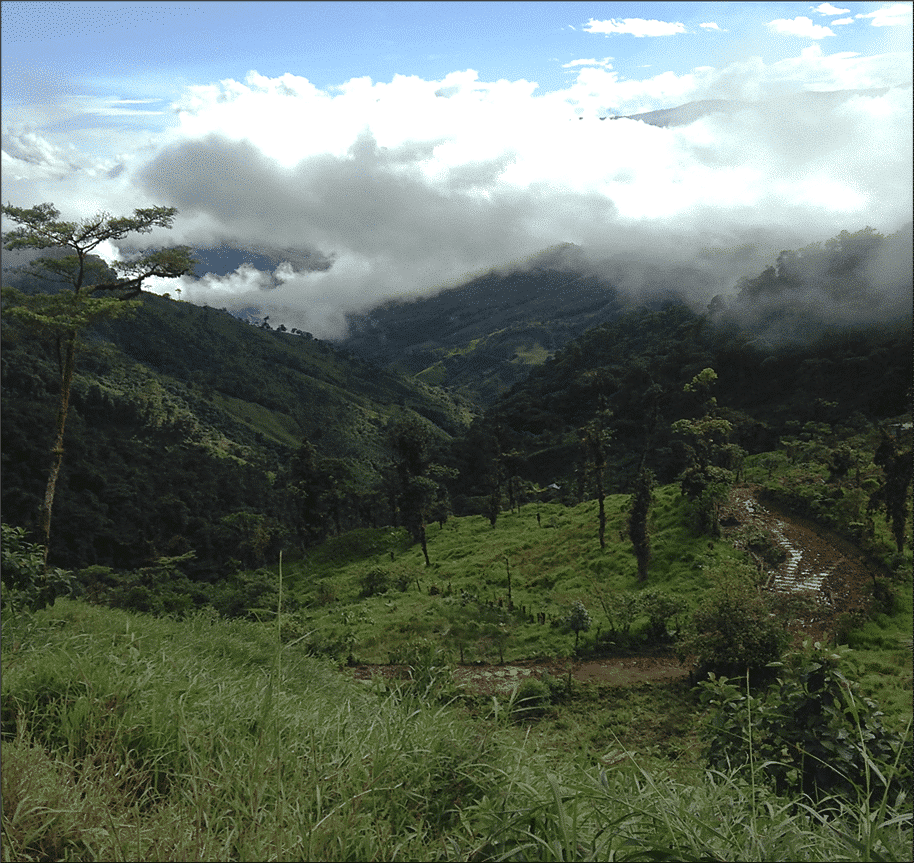 Uso de Leapfrog Edge para automatizar las revisiones de estimación de recursos internos en el yacimiento Alpala de pórfido de cobre y oro, proyecto Cascabel, norte de Ecuador