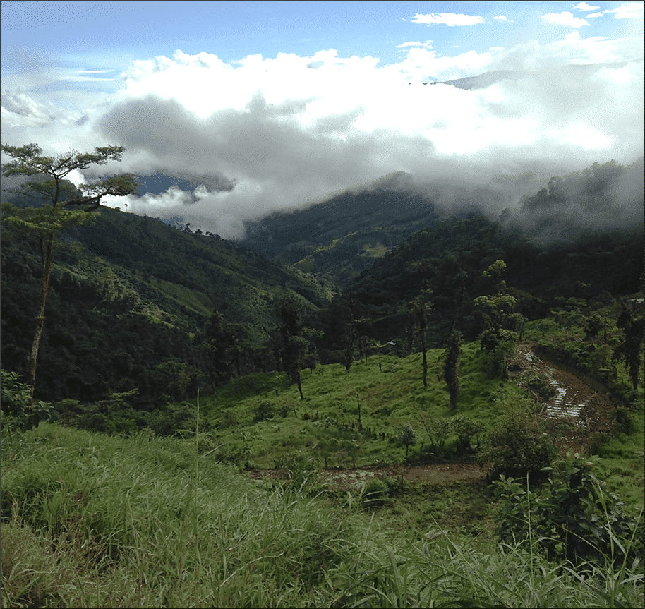 Using Leapfrog Edge to Automate Internal Resource Estimation Reviews at the Alpala Porphyry Copper-Gold Deposit, Cascabel Project, Northern Ecuador