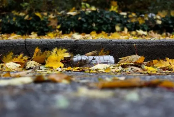 plastic water bottle rubbish in the gutter with leaves