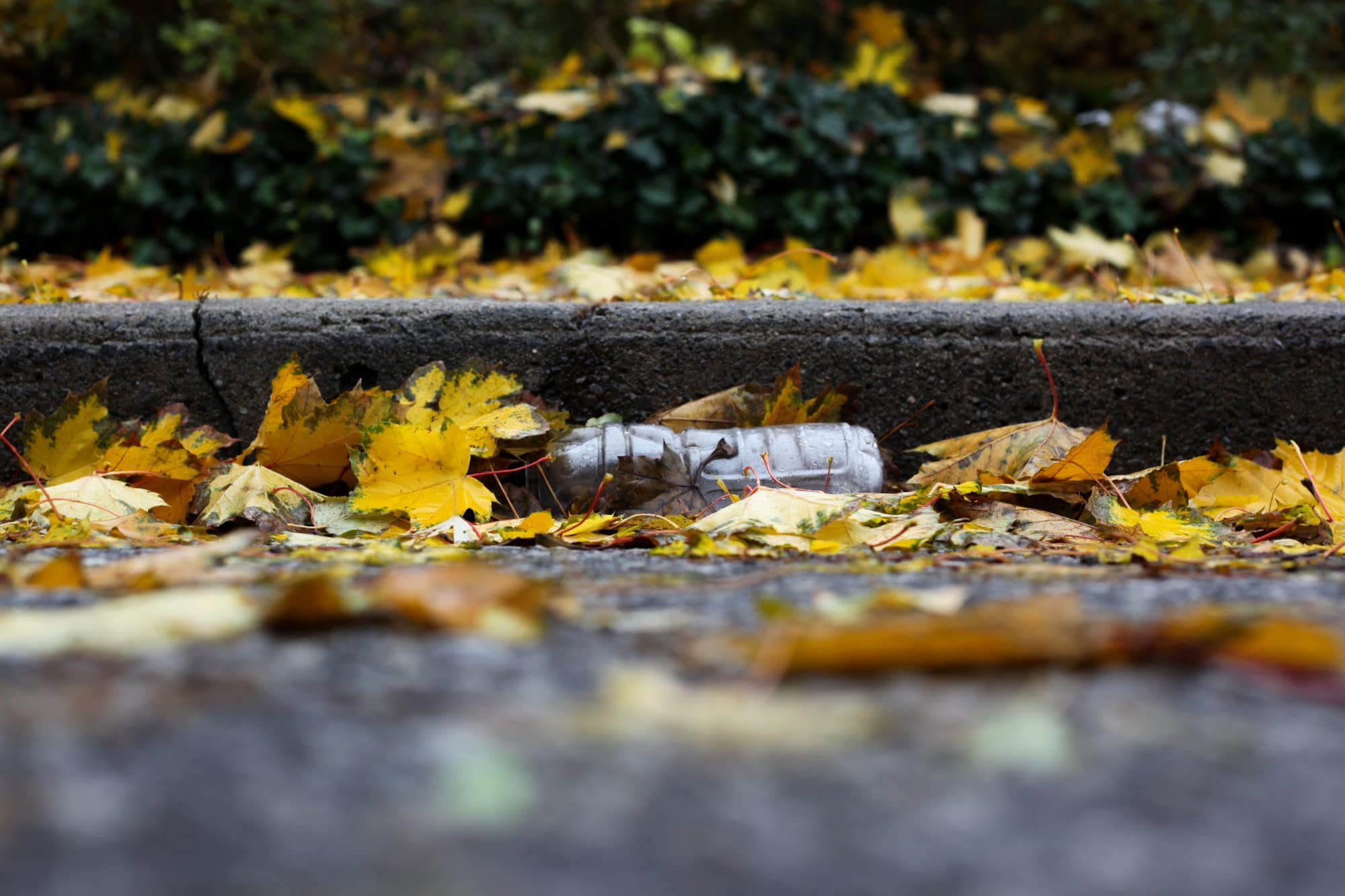 Will tomorrow’s waste feel the pressure?