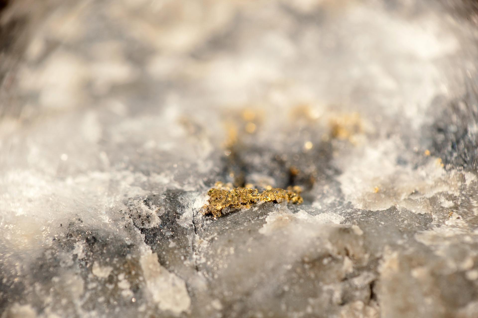 Introducing saved graphs and statistics in Leapfrog 2025.3