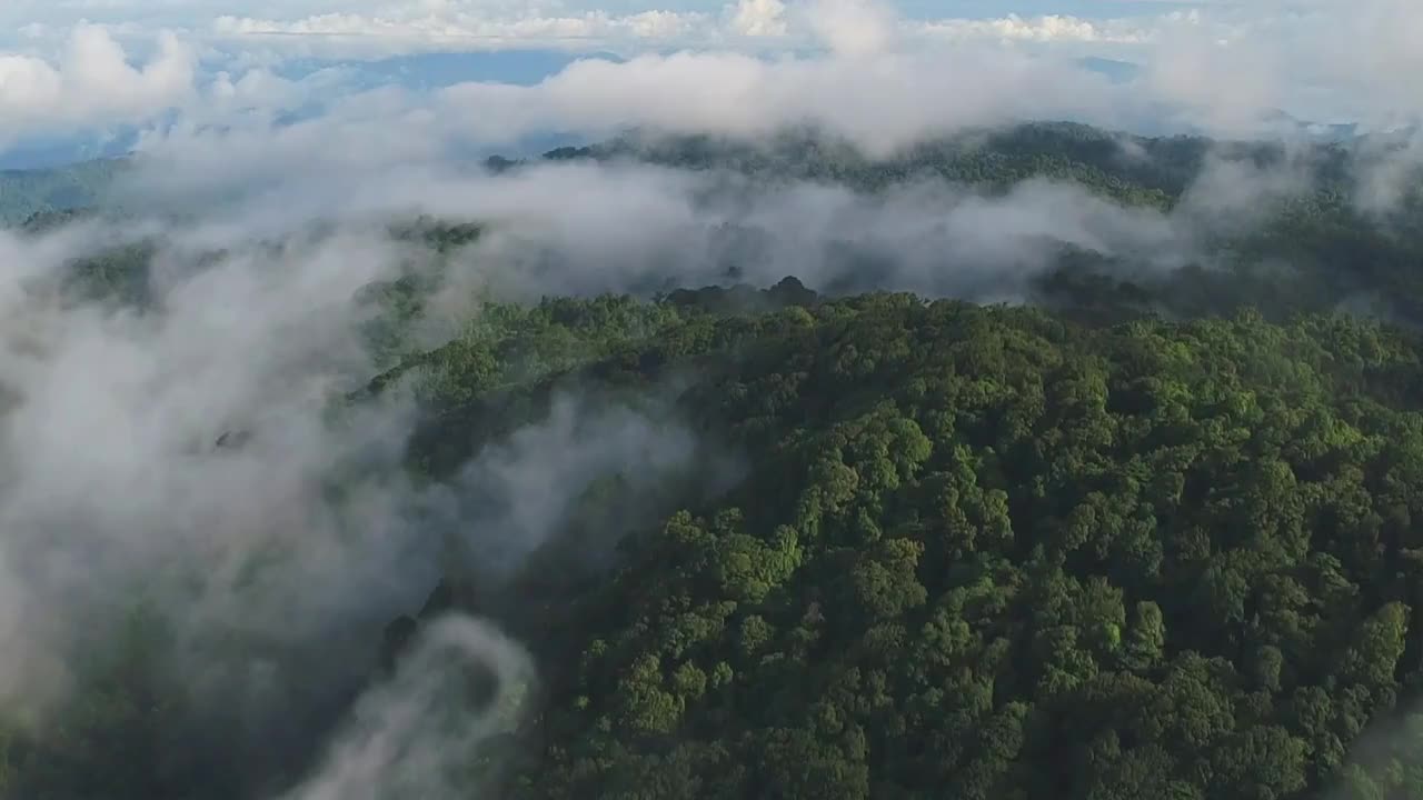 O novo Suporte da Seequent