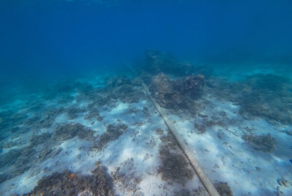 a photo of a cable underwater