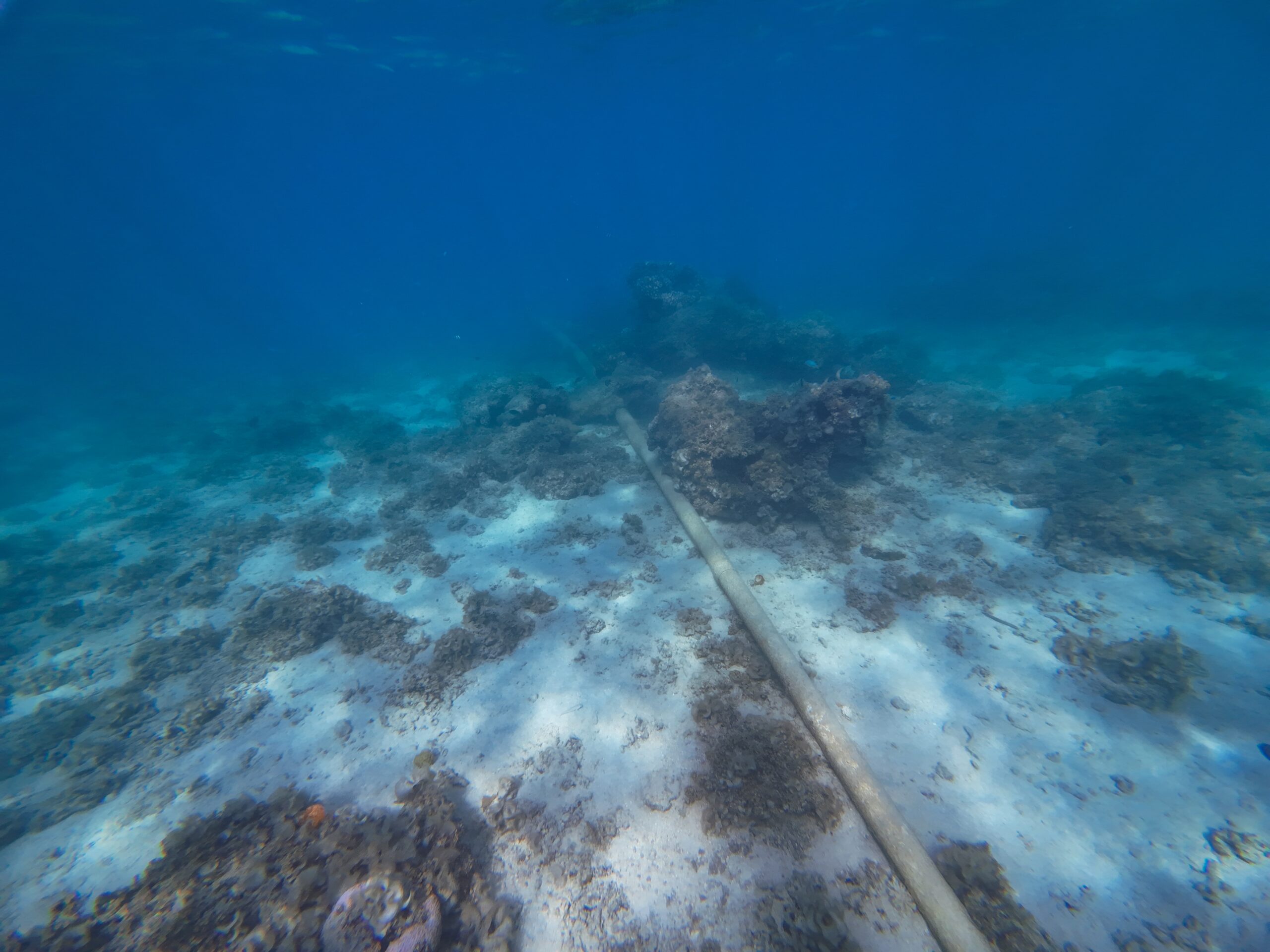 Qual a temperatura do seu cabo?